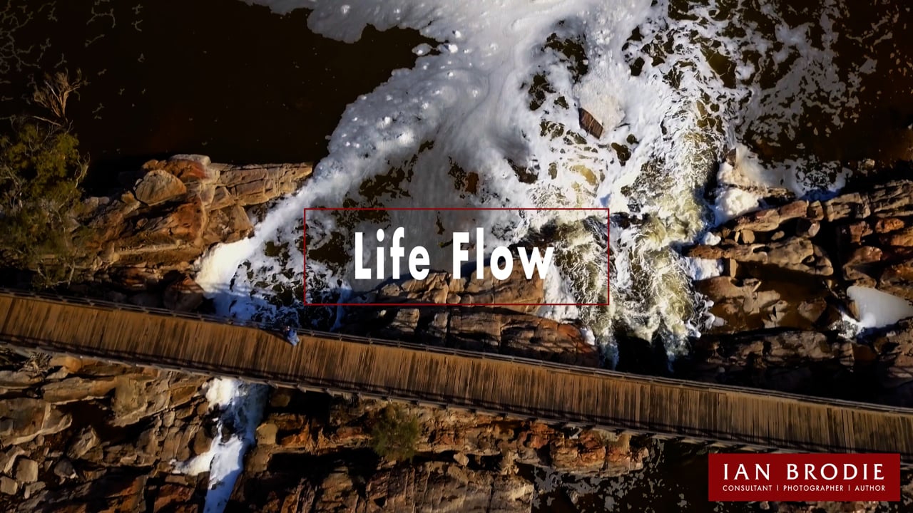 Life Flow.mp4
