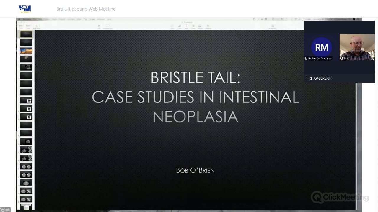 Bristle Tail: Case studies in intestinal neoplasia