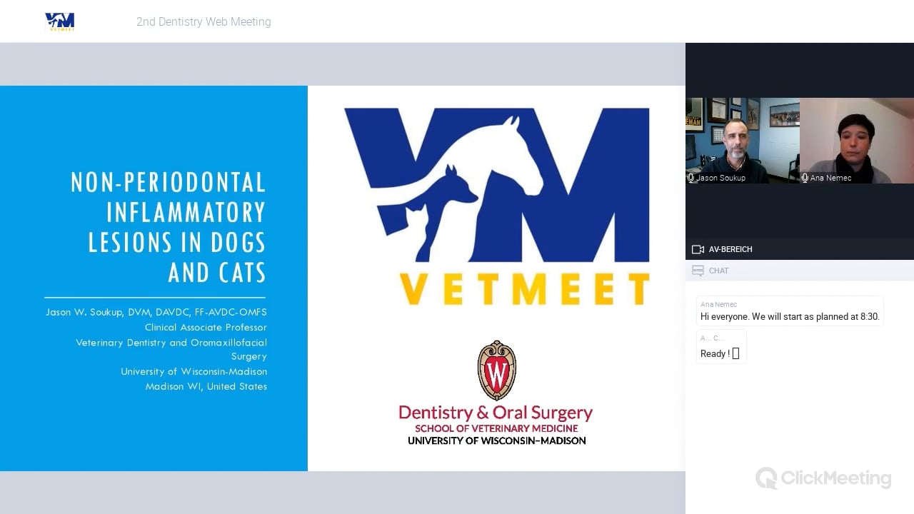 Non-periodontal inflammatory lesions in dogs and cats