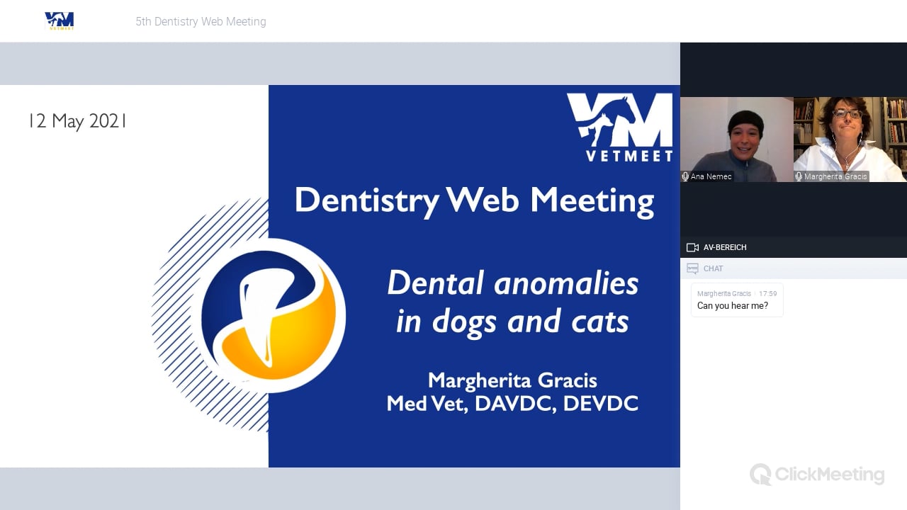 Dental anomalies in dogs and cats