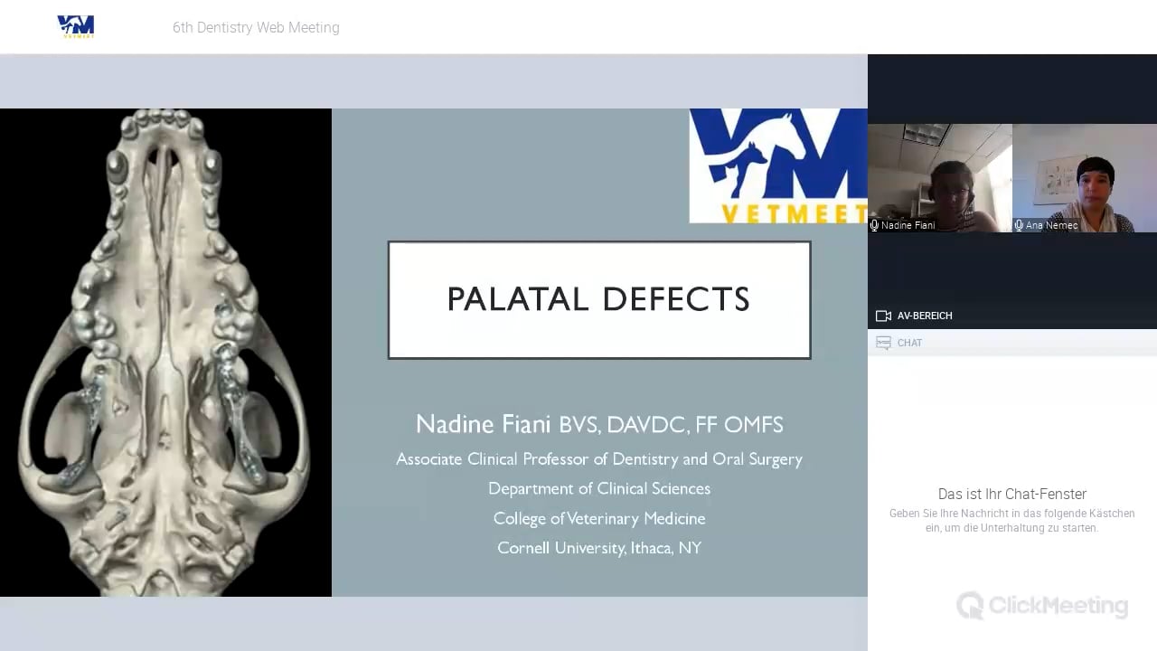 Palatal Defects