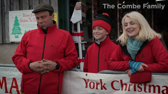 York Christmas Trees