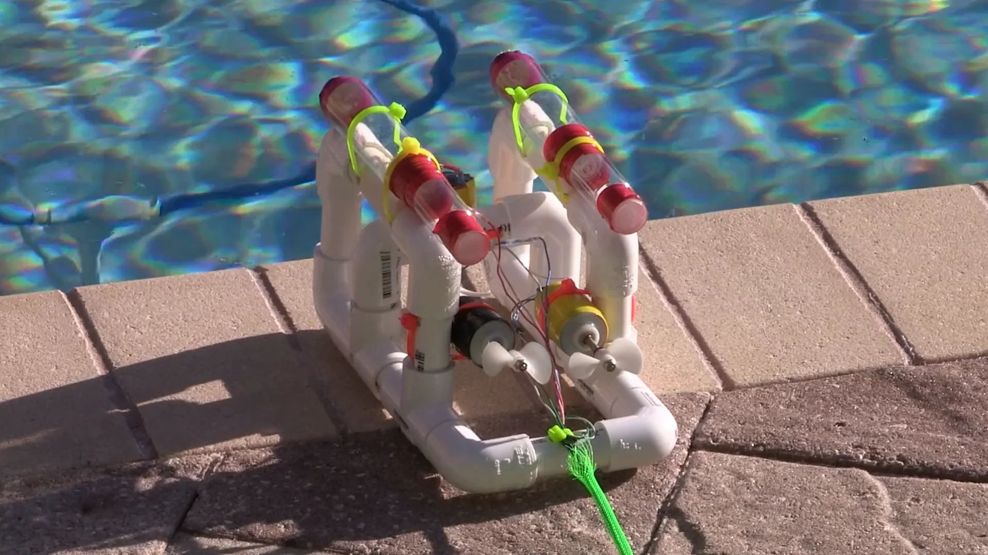 Seaperch