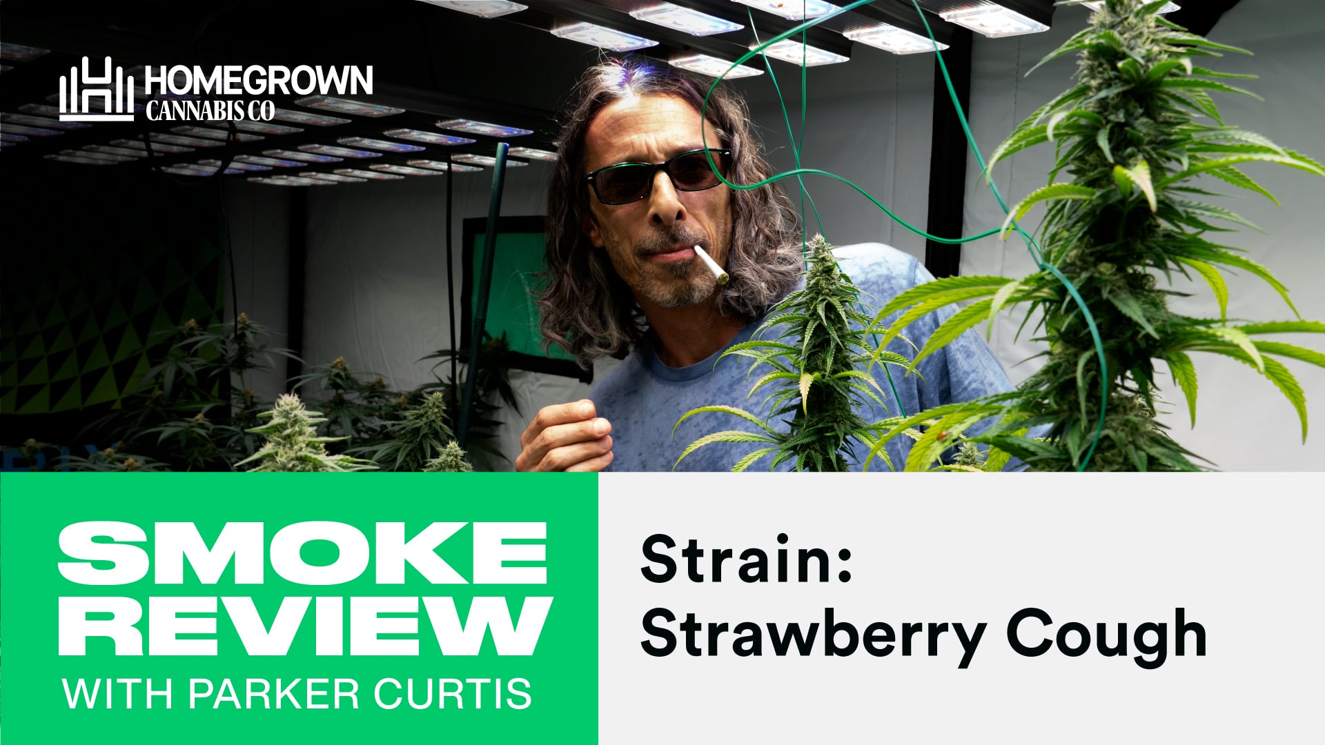 Strawberry Cough Feminized Cannabis Seeds