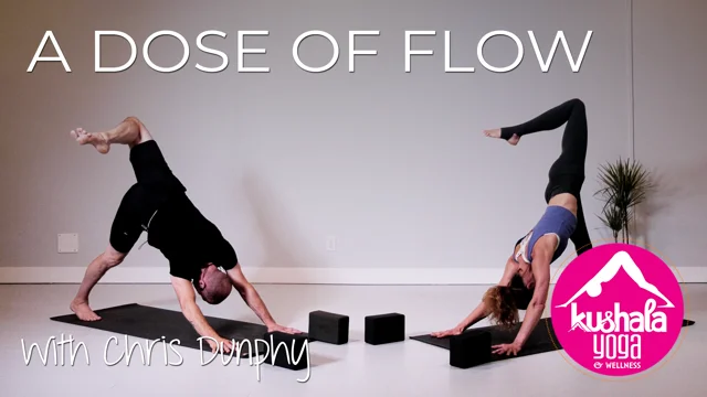 Move like water; Yoga Warmup Flow w/ Elements & Meditation in