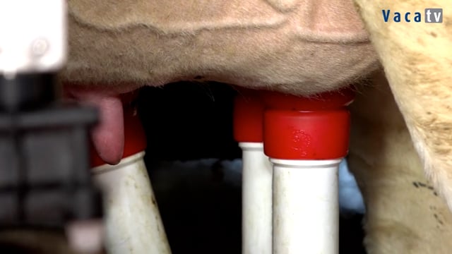 Dúas apostas pola fiabilidade e precisión de Lely