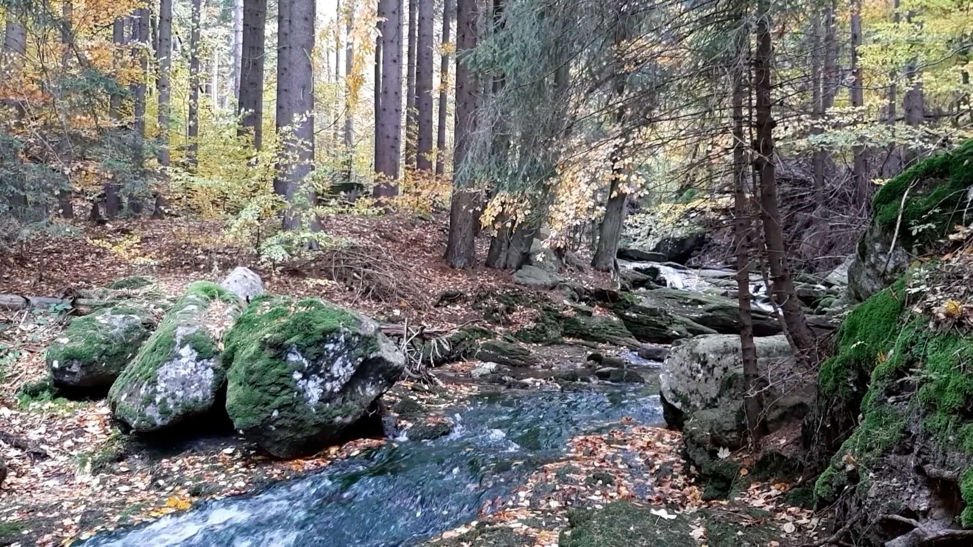 Herbst Rilke Riesengebirge 2021.mp4 on Vimeo