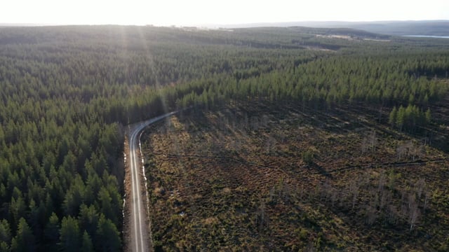 Maailma näytti lohduttomalta, poltetulta kuumaisemalta Suomen suurimmalla  avohakkuualueella vuosikymmeniä sitten – nyt Osaran aukeiden metsät ovat  kasvaneet takaisin, ja avohakkuita tehdään uudestaan | Kaleva