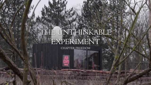 We are looking for interns for The Unthinkable Experiment