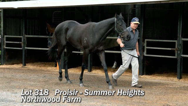 Lot 318