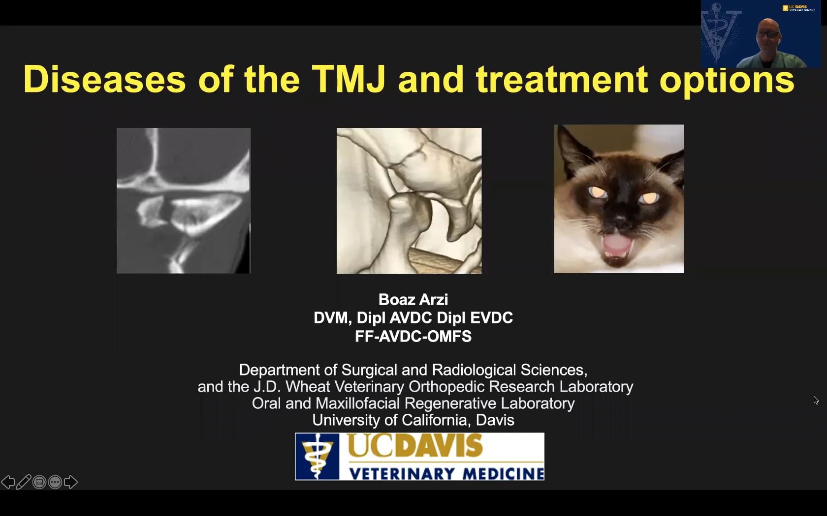 Diseases of the TMJ and treatment options