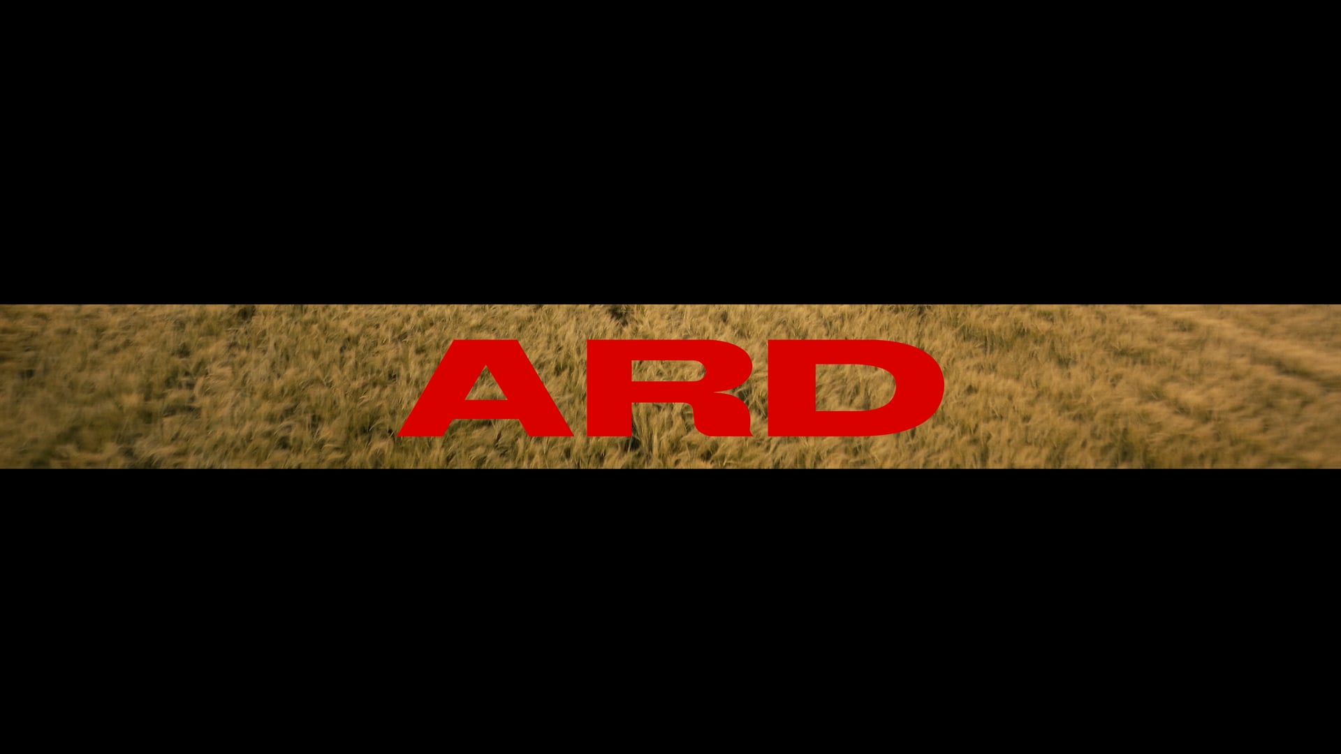 Dubludi - ARD.mp4