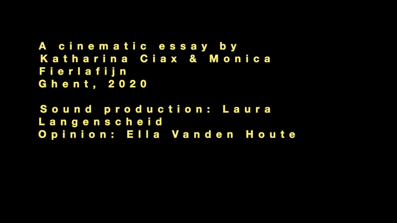 Stuck In Movement, a video by Monica Fierlafijn and Katharina Ciax