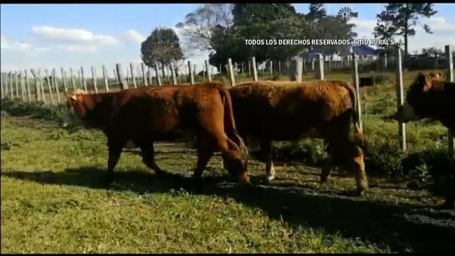 Miniatura Lote 105 - Plazarural