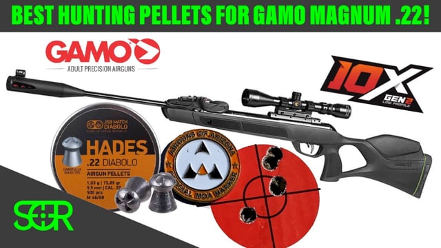 airgun hunting pellets