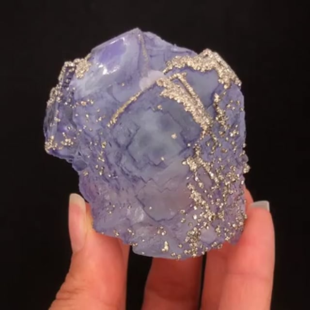 Pyrite on Fluorite - SM19-61 - Yaogangxian Mine - China