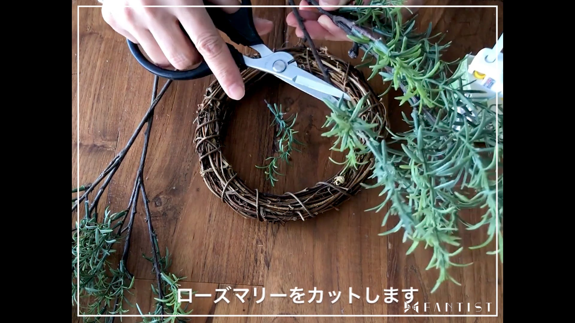 予告編動画のサムネイル画像