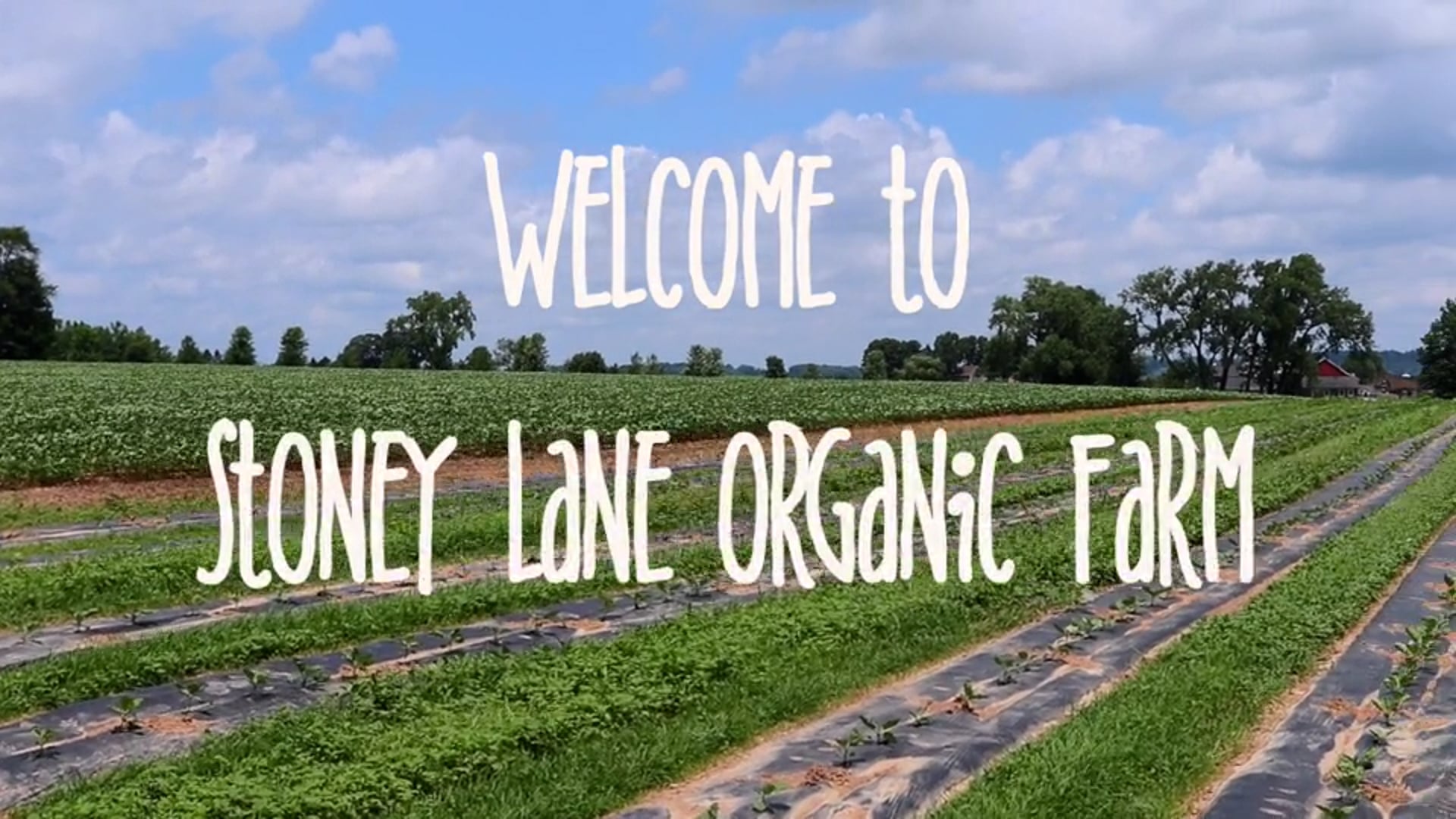 Stoney Lane Organic Farm