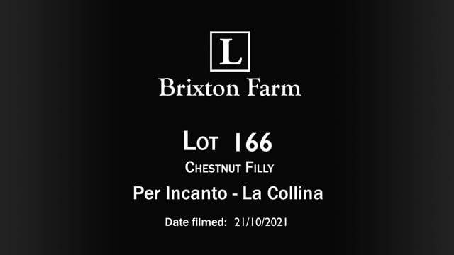 Lot 166