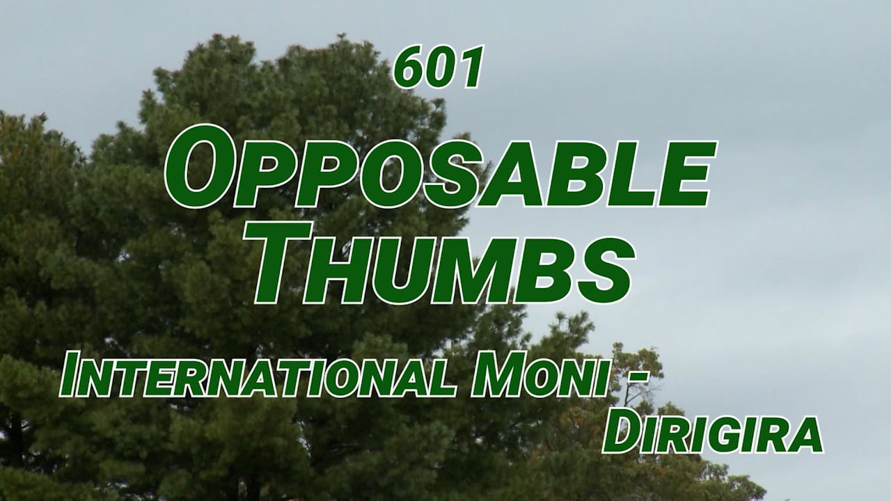 601.mp4 on Vimeo