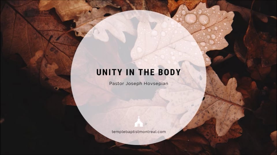 Unity in the Body