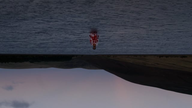 CINEHAIKU REFLECTION