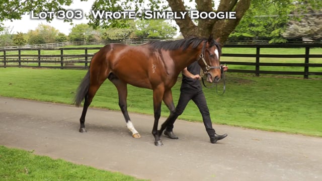 Lot 303