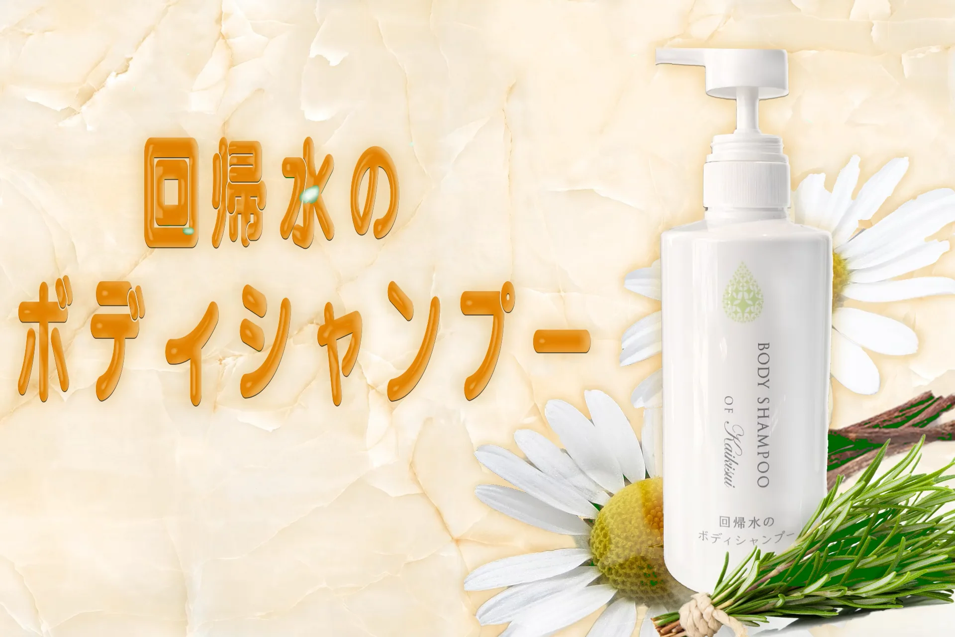 タイセイ株式会社 » ボディシャンプー