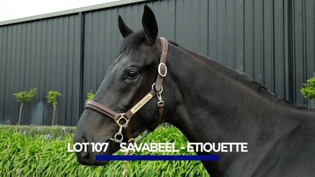 Lot 107