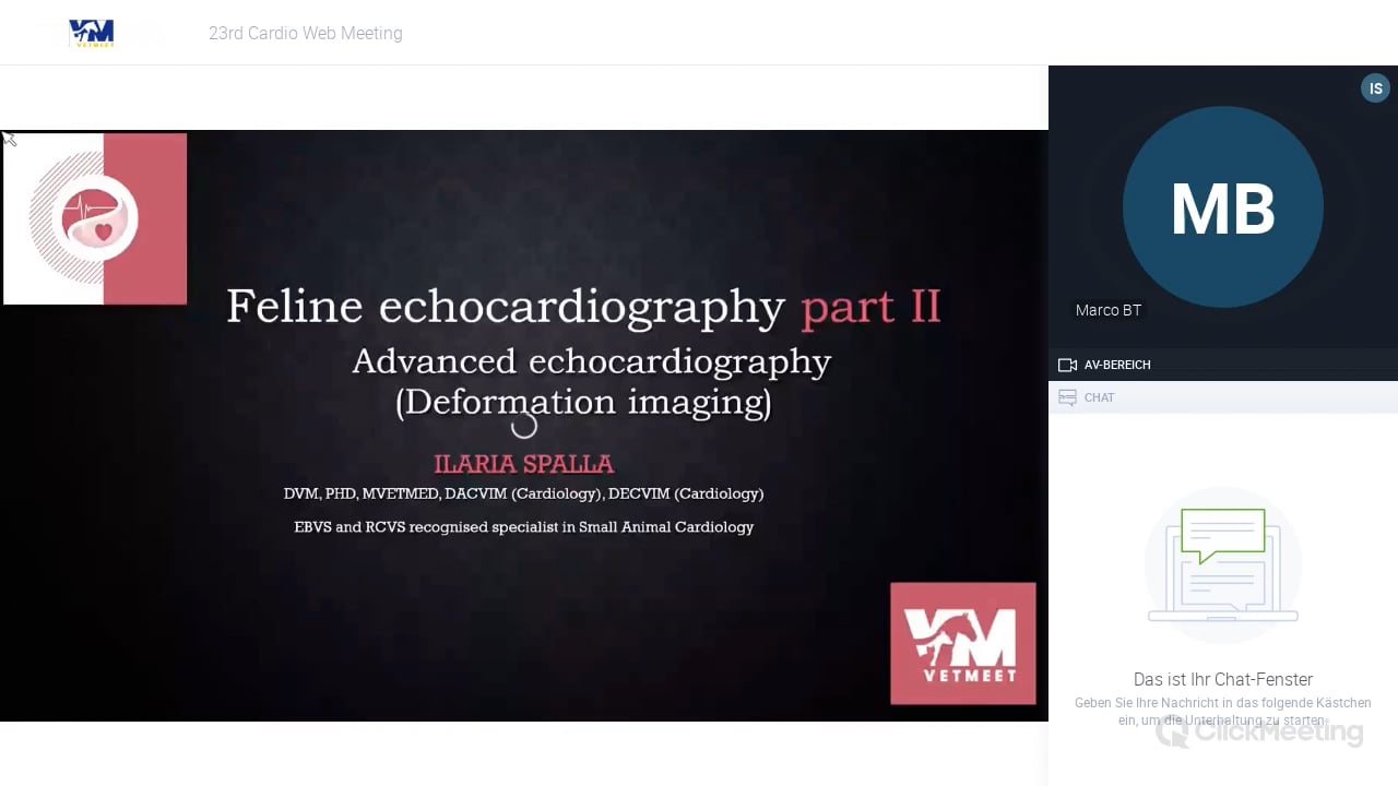 Advanced echocardiography in the cat :  deformation imaging