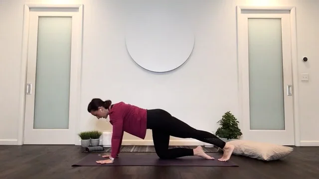 Beginner Friendly Yoga Practice 