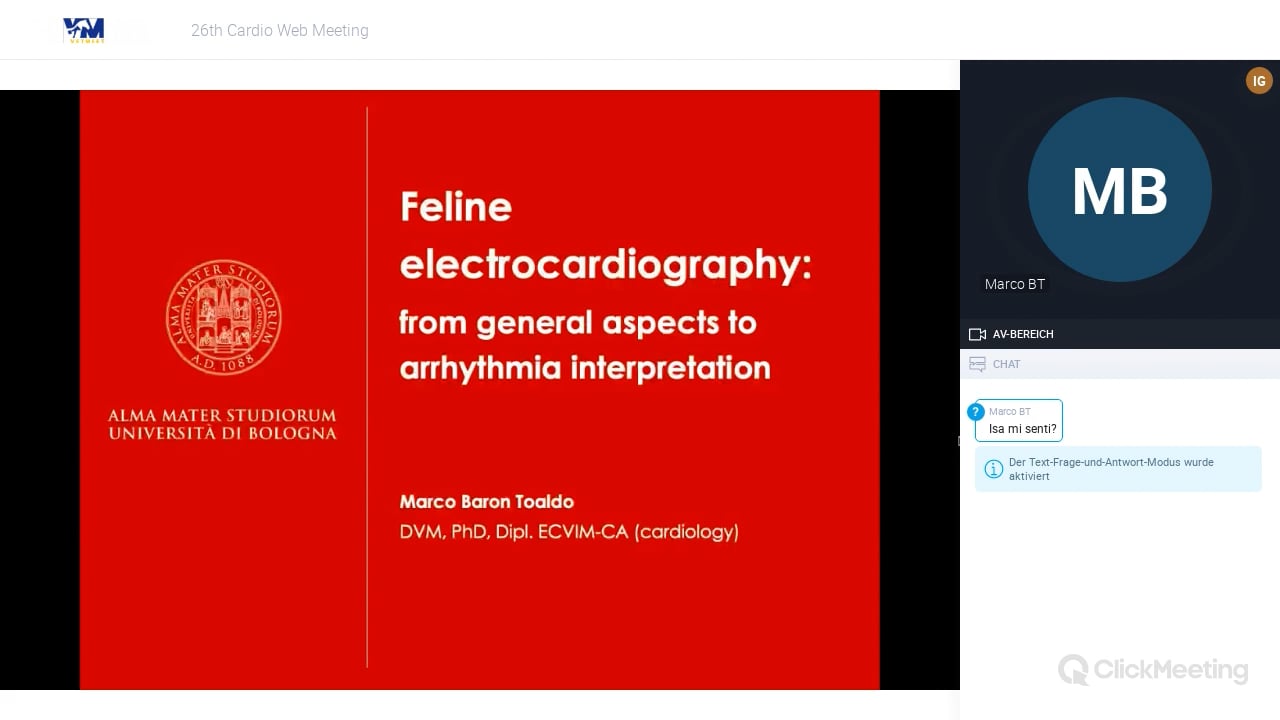 Feline electrocardiography - from general aspects to arrhythmia interpretation