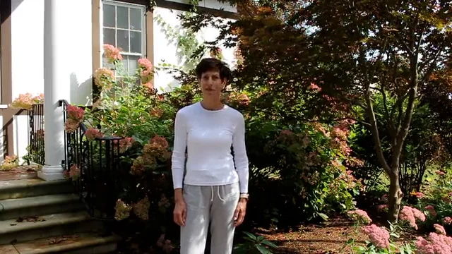 Tour Tuesday 61 on Vimeo