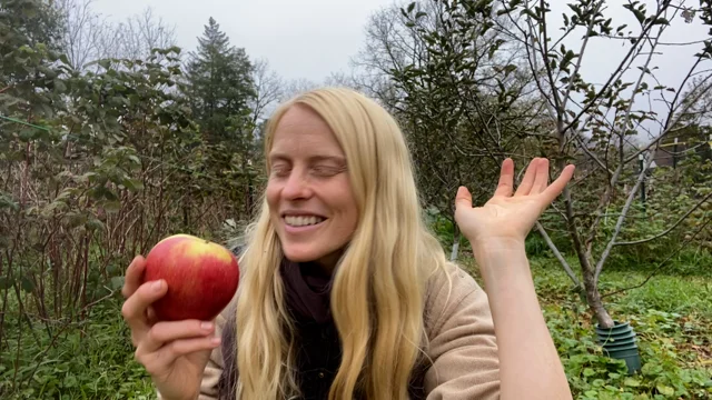 5 Keys to Establishing an Organic Apple Orchard & 5 Common Mistakes to  Avoid - Fruition Seeds