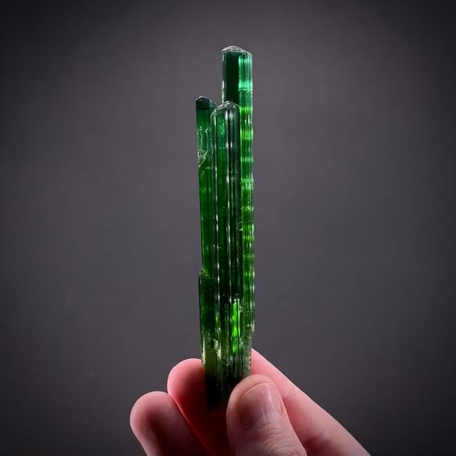 Tourmaline var. Elbaite - GEM19-39 - Santa Rosa Mine - Brazil Mineral ...