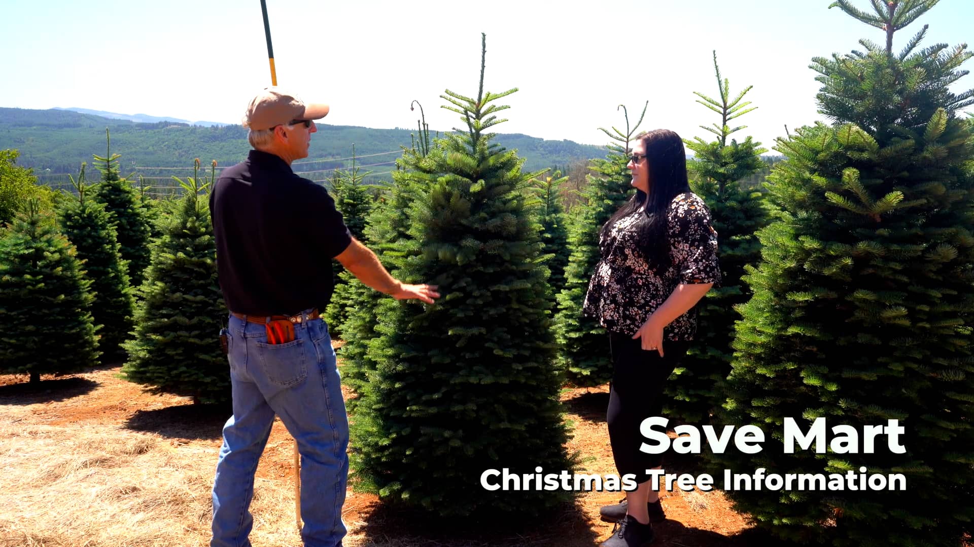 3 Savemart Christmas Tree Information on Vimeo