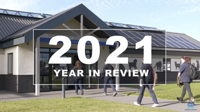 2021 Review