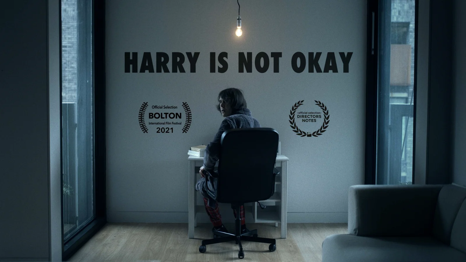 Harry Is Not Okay on Vimeo