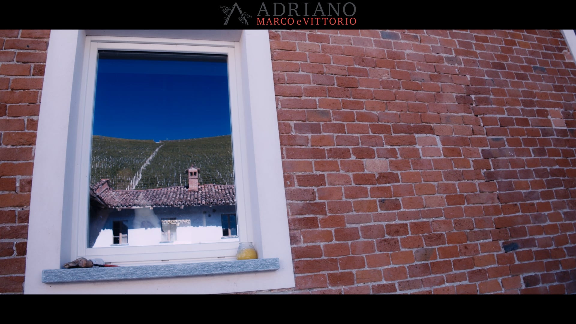 2021 - La vendemmia | The harvest