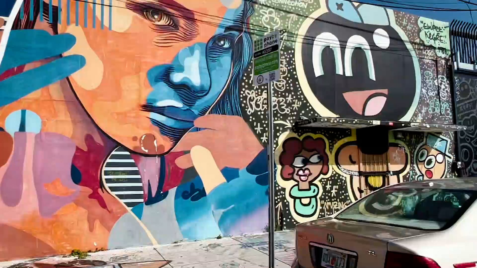 WYNWOOD CAMERAS