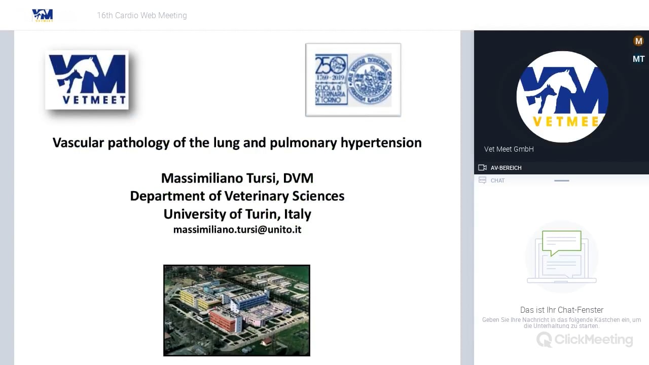 Vascular pathology of the lung and pulmonary hypertension