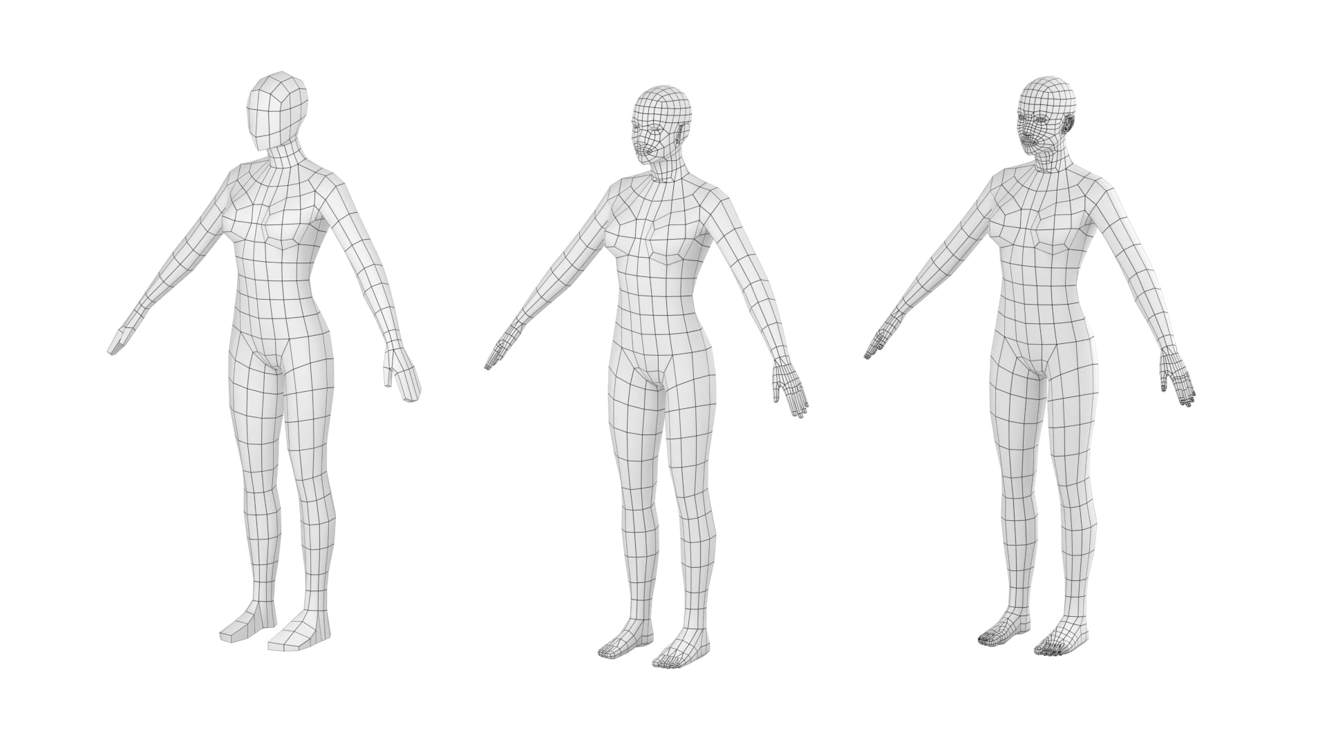Female Base Mesh Natural Proportions In A Pose 3d Model On Vimeo