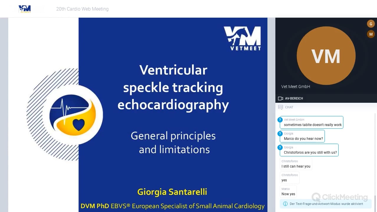 Ventricular speckle tracking echocardiography: general principles and limitations