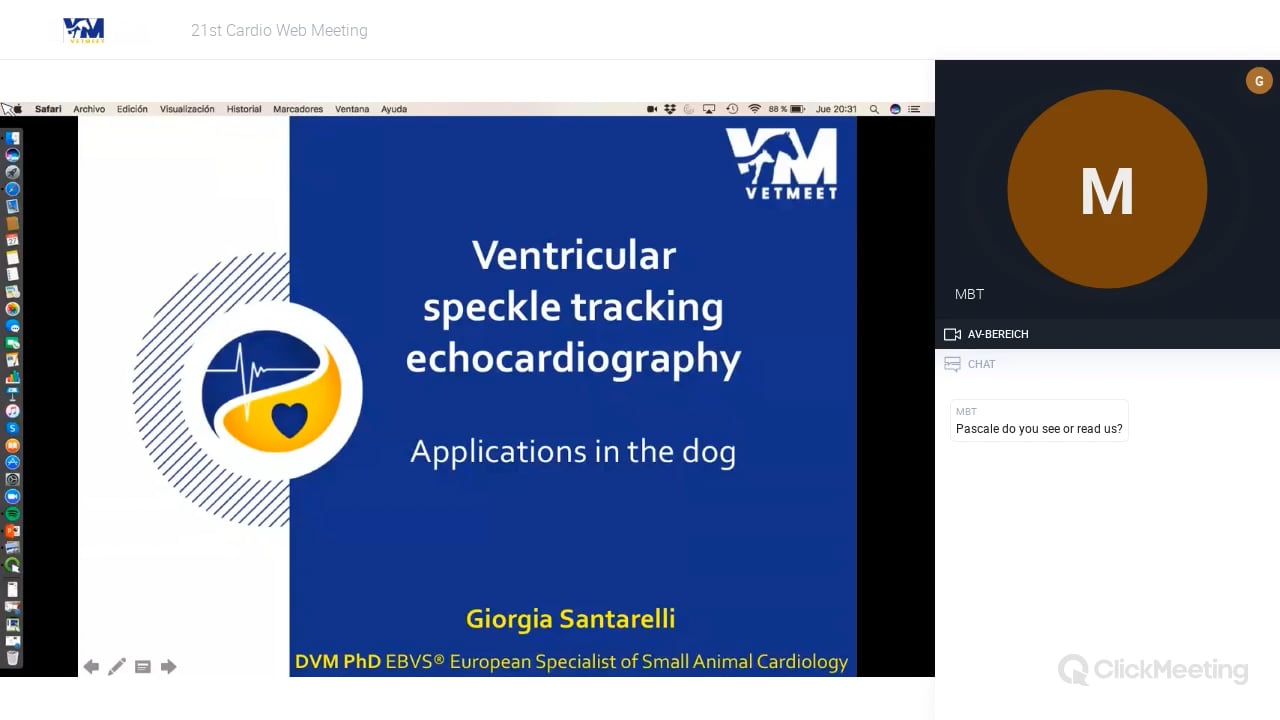 Ventricular speckle tracking echocardiography: applications in the dog