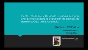 Efectos olvidados y Desarrollo a escala humana, una alternativa para la evaluación de políticas de desarrollo