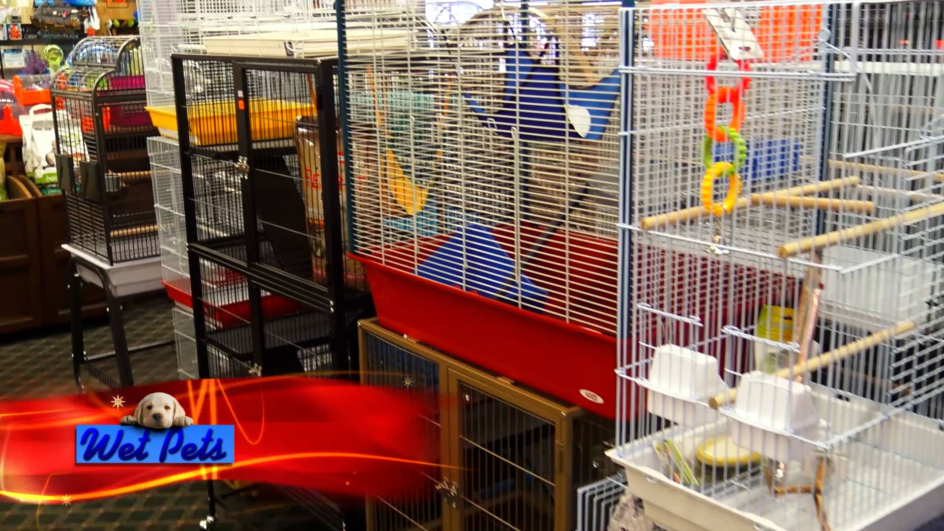 WET PETS HOLIDAY 25 OFF on Vimeo