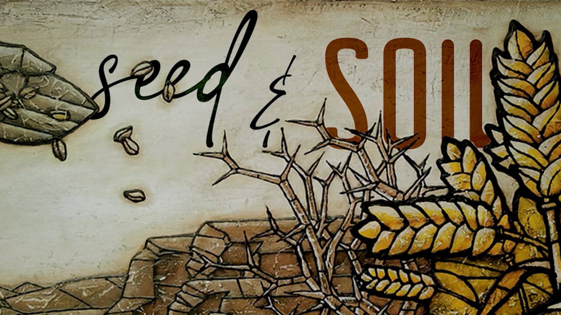 Seed and Soil 03