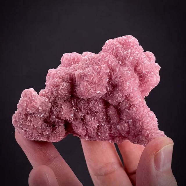 Rhodochrosite - SM19-19 - Hotazel - South Africa Mineral Specimen