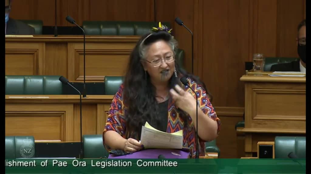 Government motion on notice No 3 Establishment of Pae Ora Legislation ...