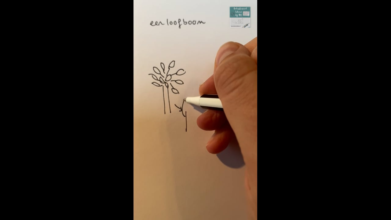 Loofboom en de naaldboom